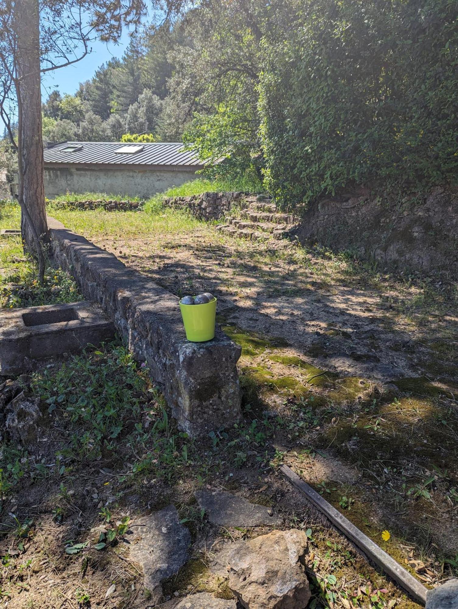 Auberge Des Pins Aubenas Buitenkant foto